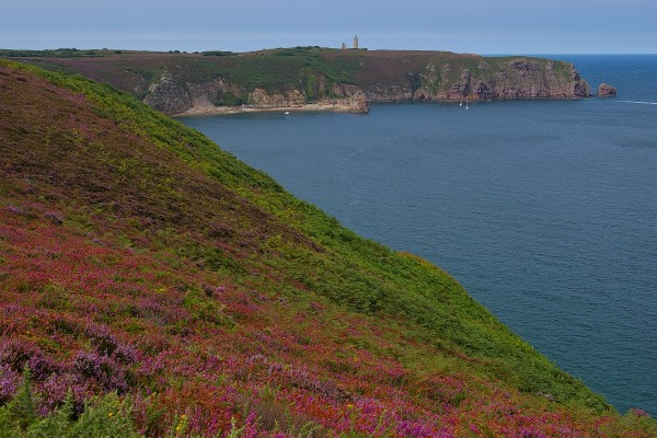 Cap Fréhel - Bretagne