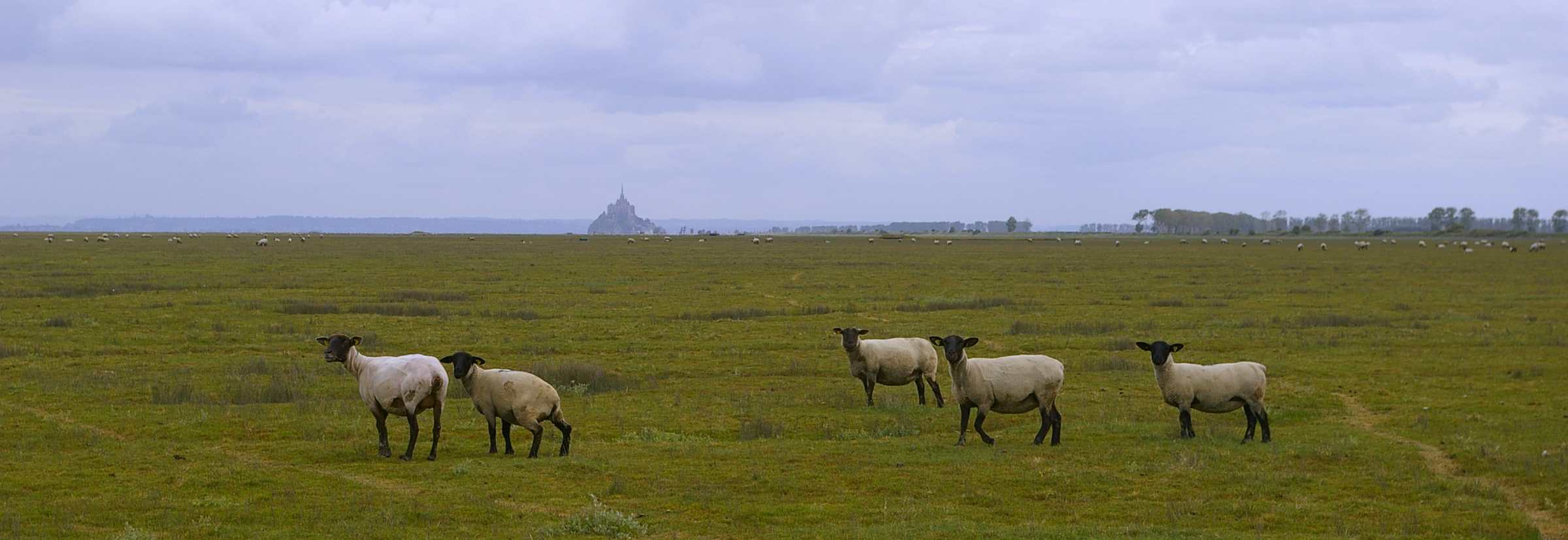 Reiseleitung Mont St Michel - Normandie